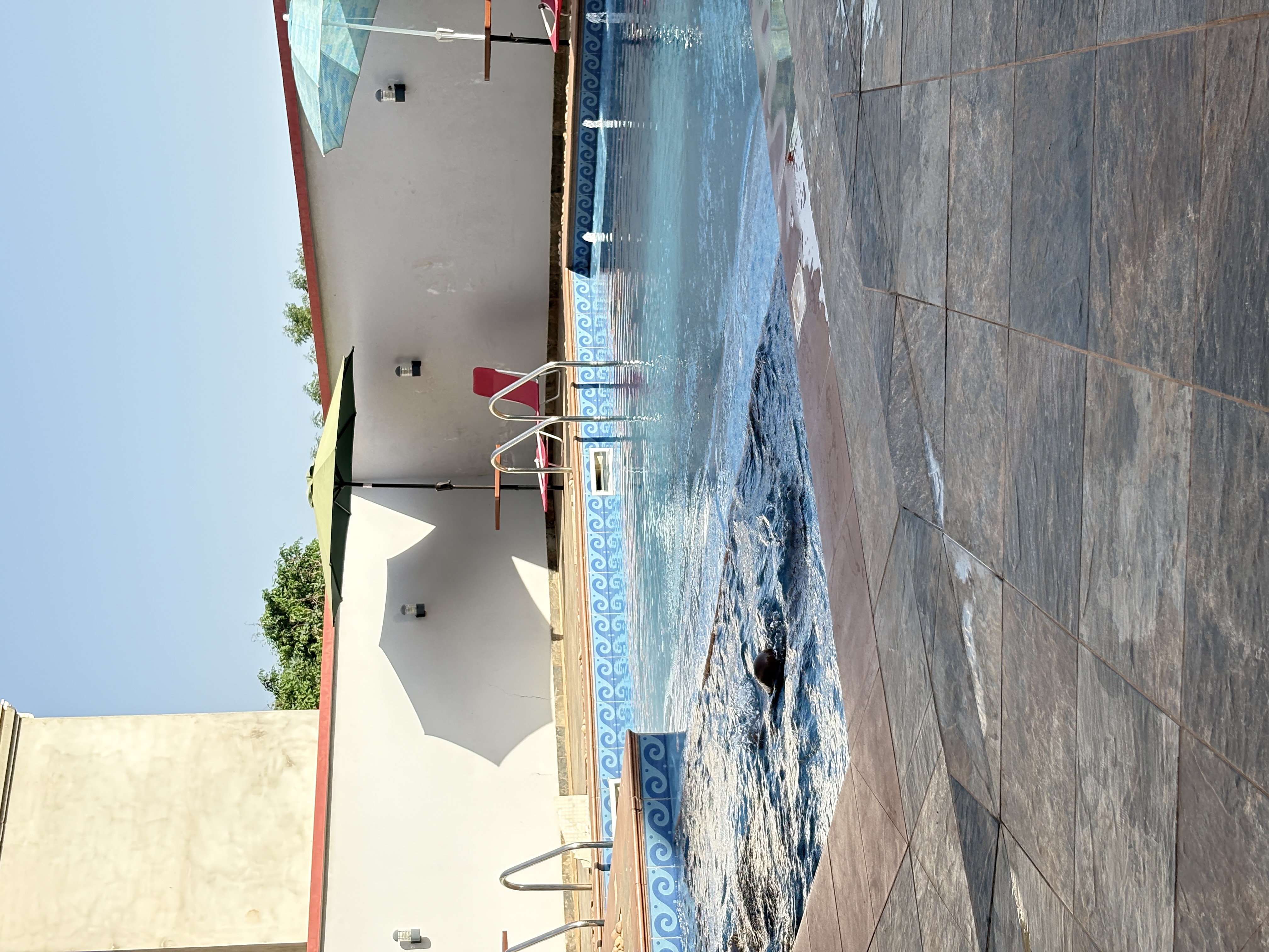 will insert pics here